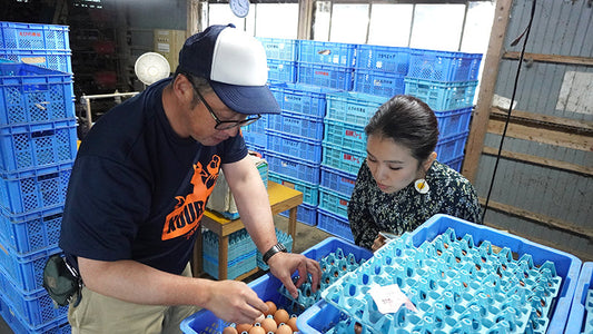 二層式平飼いとは？鶏の健康を考えた新しい養鶏の形