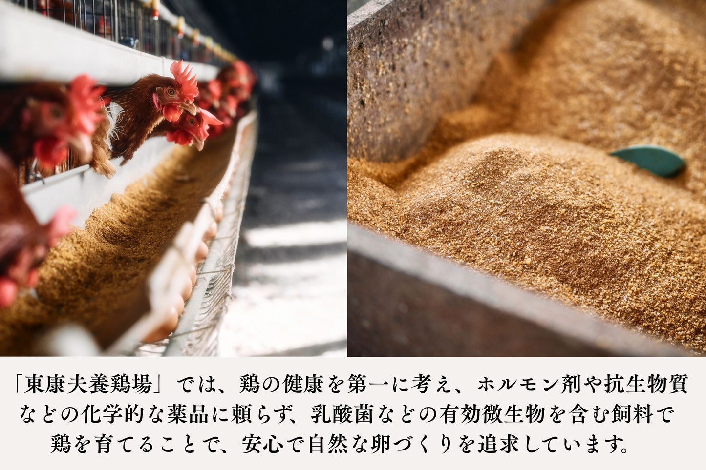 【限定生産】トリプル康卵　30個入