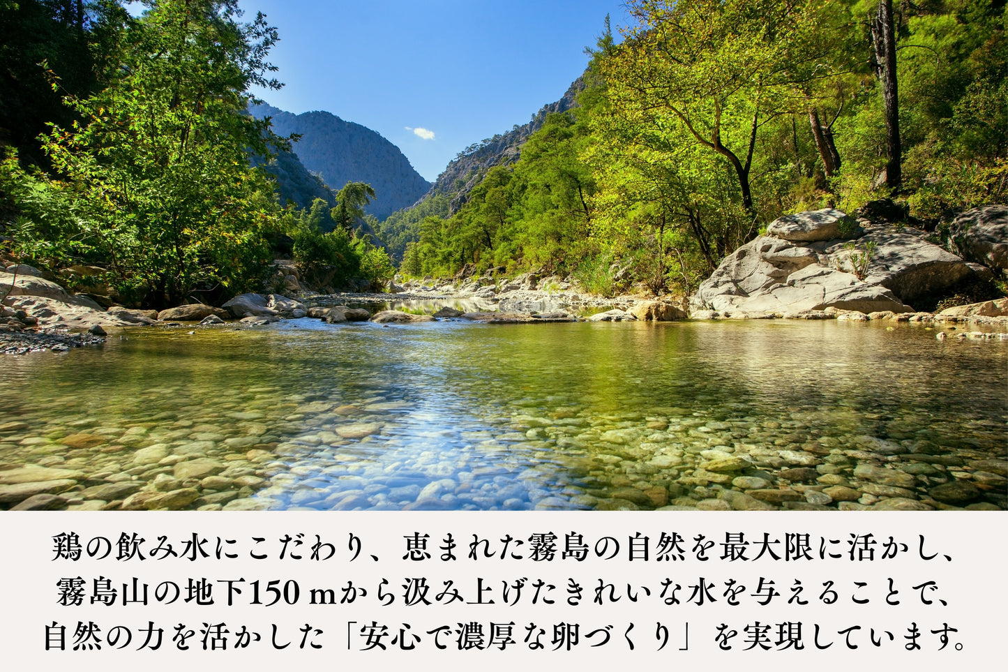【限定生産】トリプル康卵　30個入